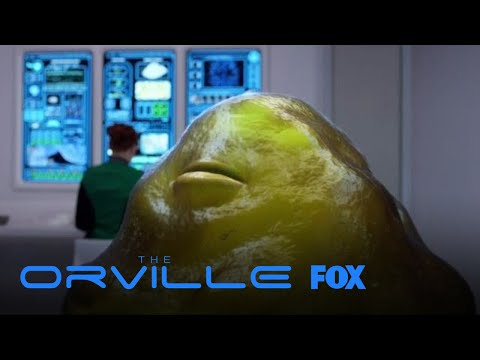 Dr. Claire Finn Sets The Record Straight | Season 1 Ep. 3 | THE ORVILLE episode artwork