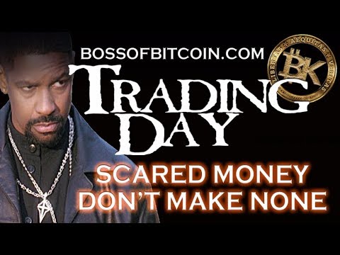 SHOULD YOU TRADE BITCOIN OR HODL?? 🤔💰 Fintech World News Jamie Dimon Crypto Trading Roger Ver BTC episode artwork