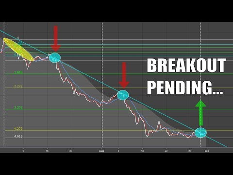 What is Litecoin #LTC 💯LIVE BK Price Prediction 💯FREE Bitcoin Fintech Review