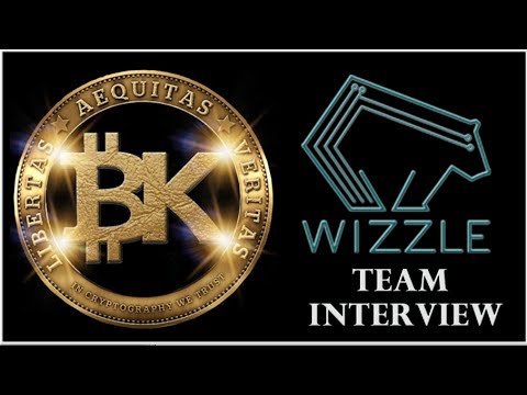 1:1 w/ Mark Noorlander - Wizzle Network 💵🌐 Fintech Startup Review | Best Blockchain ICO in 2018 episode artwork