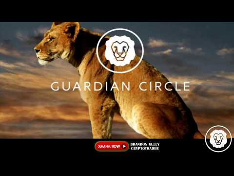 Guardian Circle: 911 Emergency Providers on The Blockchain | Guardium ICO Review episode artwork