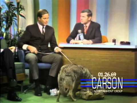Johnny Carson Blooper: A Coyote Answers Nature's Call on "The Tonight Show" - Johnny Carson - 1969 episode artwork