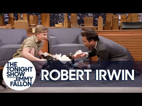 The Tonight Show Starring Jimmy Fallon