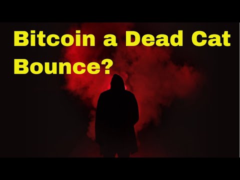 Cryptobud