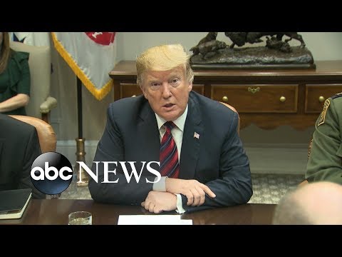 Trump orders emergency grounding of Boeing 737 MAX 8 and MAX 9 planes episode artwork
