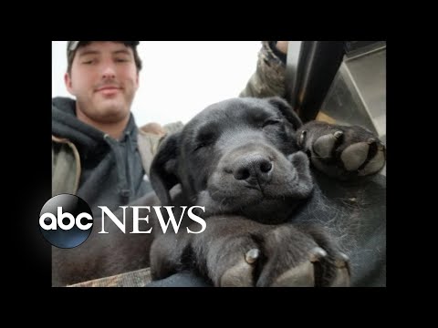 Deaf dog adopted in Maine episode artwork