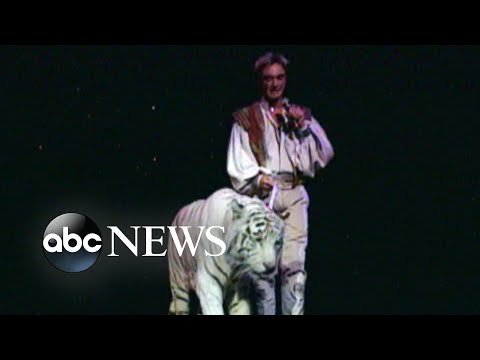 New allegations about onstage attack in Siegfried and Roy show episode artwork