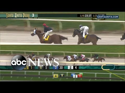 Races cancelled at California track after 21 horses die episode artwork
