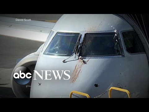 American Airlines jet makes emergency landing