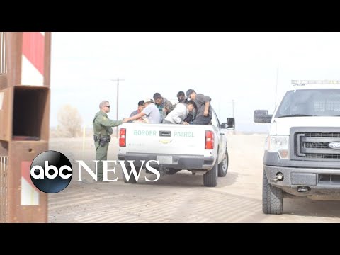 WH considered releasing migrants in 'sanctuary cities': Report episode artwork