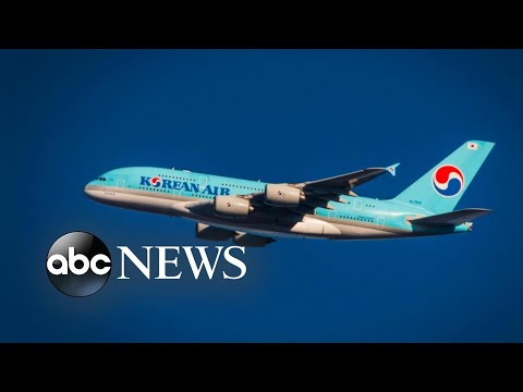 Family says 2 kids were kicked off an airplane for a nut allergy, left stranded at airport episode artwork