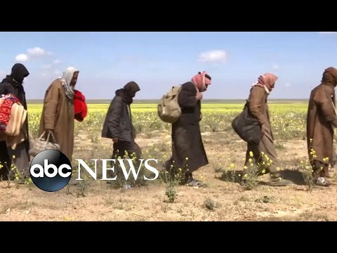 Hundreds of ISIS fighters surrendering as US issues new warning episode artwork
