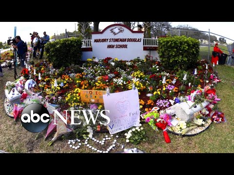 A second student from Marjory Stoneman Douglas High has died in apparent suicide episode artwork