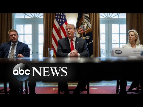 President Trump faces criticism from his own party on declaring a national emergency episode artwork