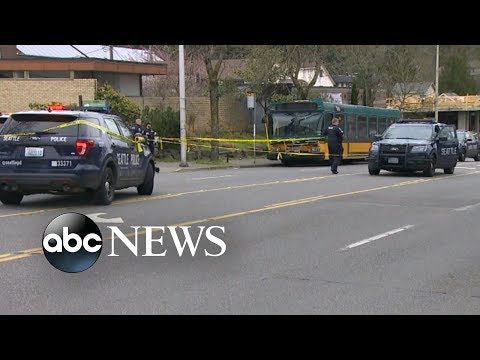 Police trying to figure out what sparked deadly Seattle shooting spree episode artwork