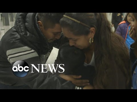 Federal judge issues a new order against Trump administration's 'zero tolerance' immigration policy episode artwork