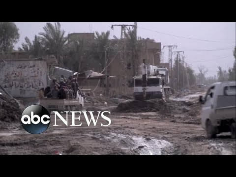 Trump tweets that ISIS 'is ready to fall' episode artwork