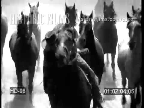 Historic Films Stock Footage Archive