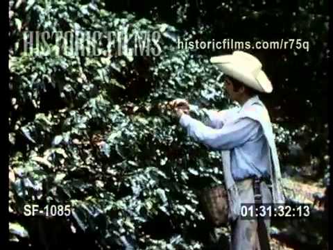 Historic Films Stock Footage Archive