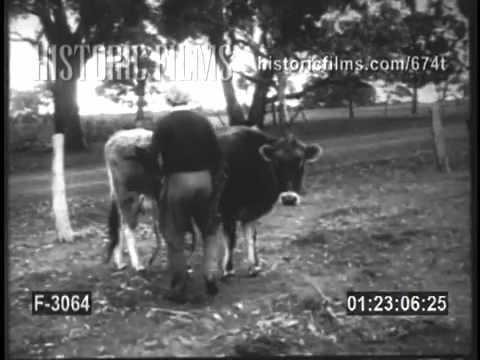 F-3064: WARNER PATHE NEWS episode artwork