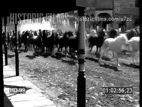 HISTORIC FILMS HD COLLECTION - STAMPEDE FROM "THE PIONEER" episode artwork