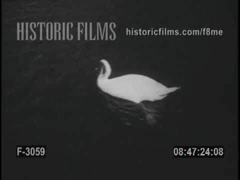 Historic Films Stock Footage Archive