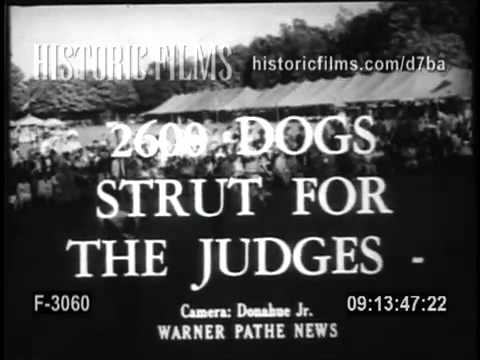 Historic Films Stock Footage Archive