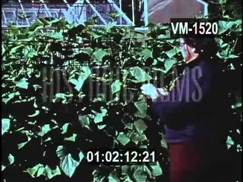 Historic Films Stock Footage Archive