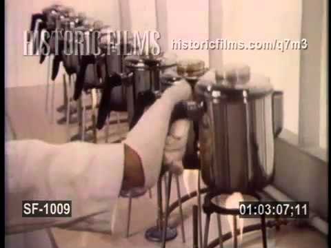 Historic Films Stock Footage Archive