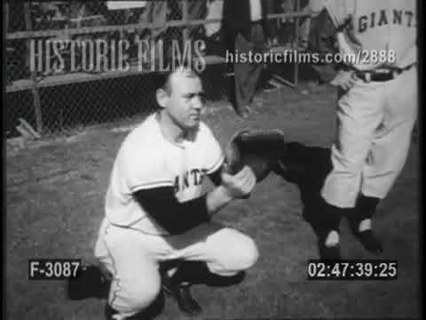 SPORTS! WORLD CHAMPS NEW YORK GIANTS SPRING TRAINING - 1955