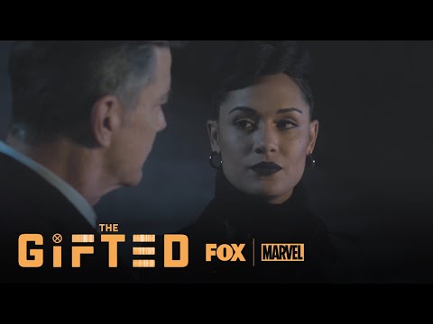 The Gifted