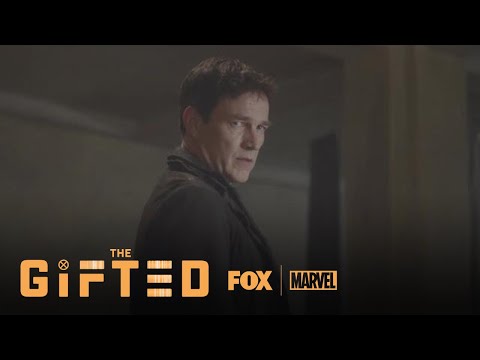 The Gifted