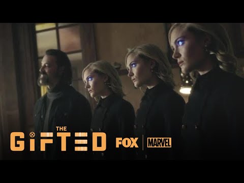 The Gifted
