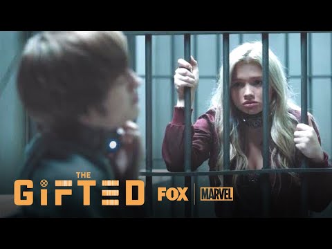 The Gifted