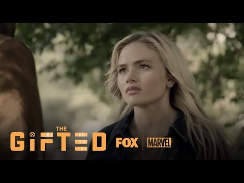 The Gifted