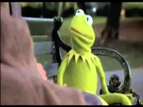 Kermit tells it like it is