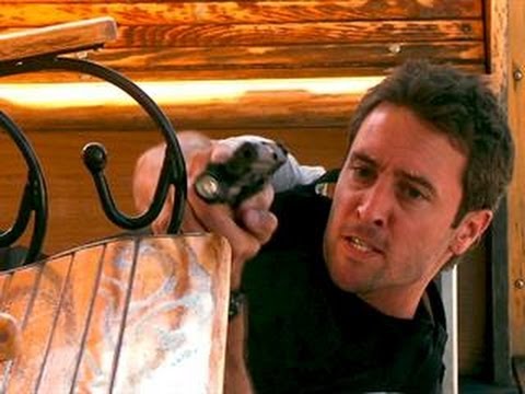 Hawaii Five-0 - Four Seasons of Amazing Moments Hawaii Five-0 - Four Seasons of Amazing Moments