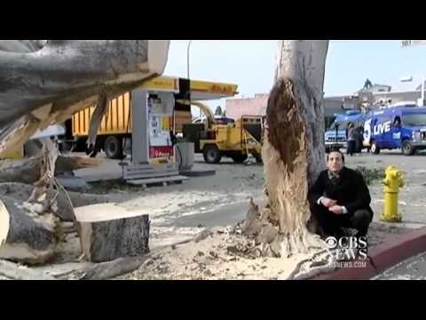 Hurricane force winds sweep through Calif. episode artwork