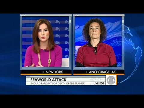 Ex-Sea World trainer on dangers of that job episode artwork