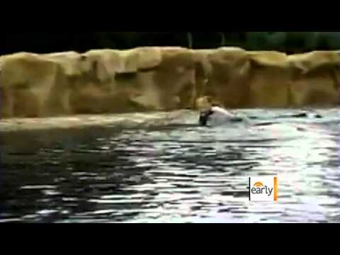 Sea World fighting fine after tragic death episode artwork