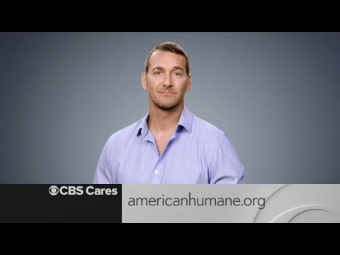 CBS Cares - Brandon McMillan On Natural Disaster Animal Rescue episode artwork
