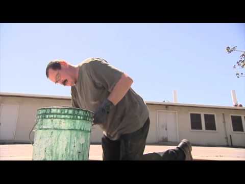Undercover Boss - Deleted Scene: Greenhouse (UC Riverside)