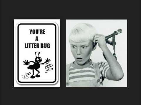 YOU'RE A LITTER BUG - Jay North DENNIS THE MENACE PSA song episode artwork