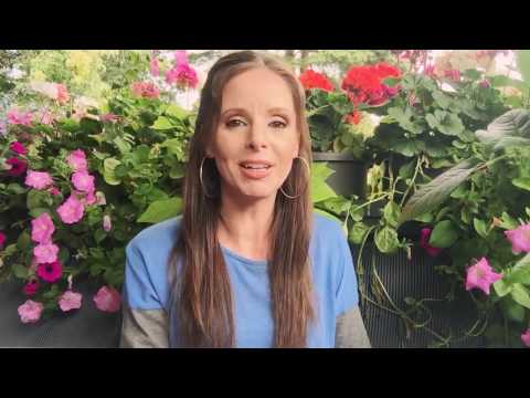 Chakra Balancing How To - A Quick and Easy Method to Balance Your 10 Chakras for Beginners Chakra Balancing How To - A Quick and Easy Method to Balance Your 10 Chakras for Beginners
