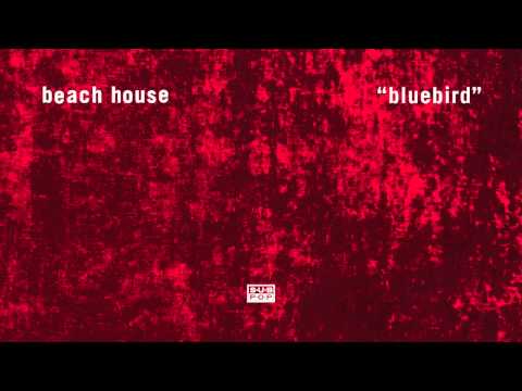 Beach House - Bluebird episode artwork