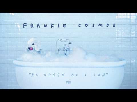 Frankie Cosmos - As Often as I Can episode artwork