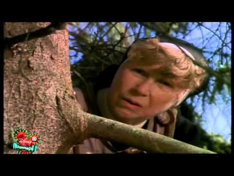 The Christmas Tree 1996 TV Movie HD 720p ( Must See! IMDB: 7.2 ) episode artwork