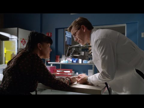 NCIS:NCIS