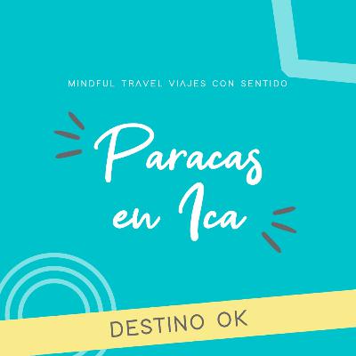Destino OK ꕤ Paracas en Ica (Perú)