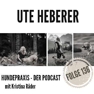 Tierschutz- oder Zuchthund?